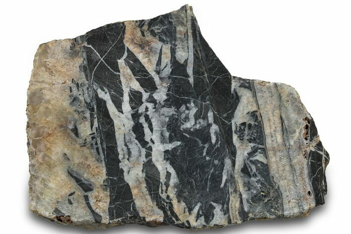 Midcontinent Rift Section - Ontario, Canada #300062